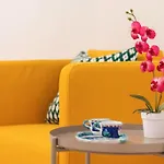 Elegant And Cozy Flat With Study - Trastevere
